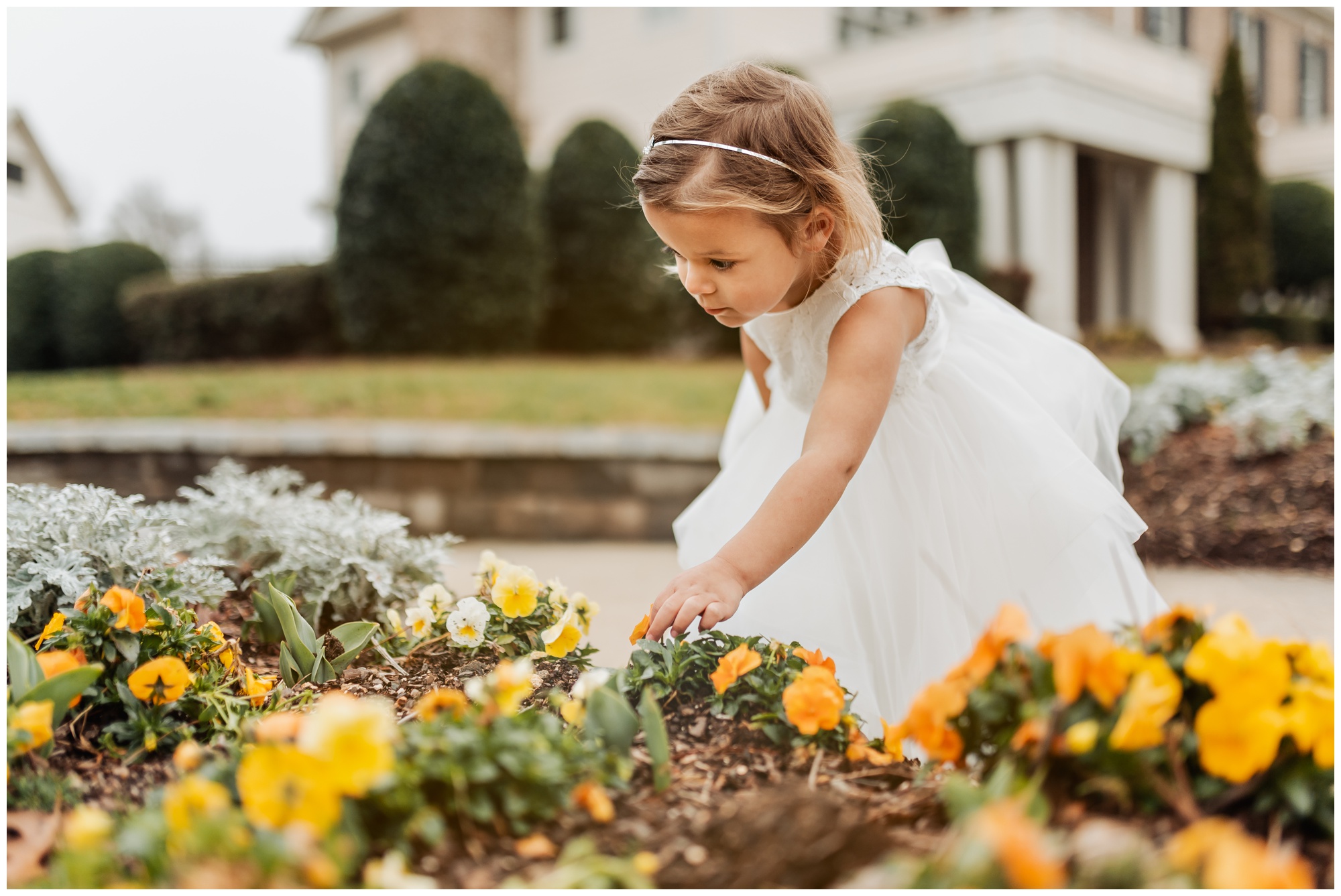 north carolina children's photographer