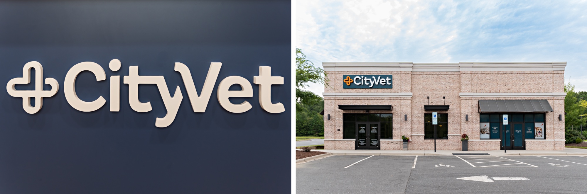 Vanessa Guzzo, North Carolina corporate and branding photographer